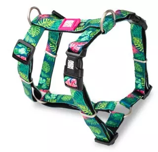 H-Harness - Tropical/S