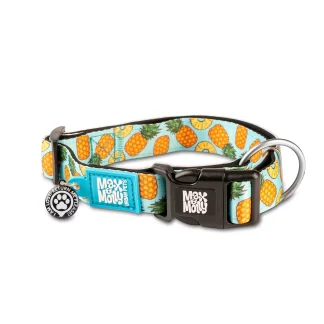Smart ID Collar - Sweet Pineapple/XS