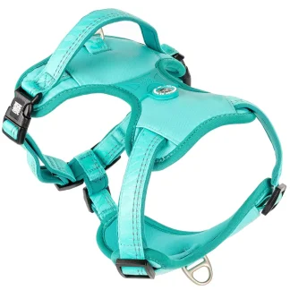 Sport Harness - Matrix 2.0 Turquoise/L