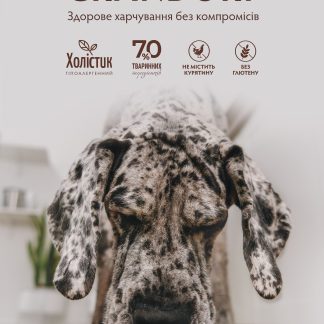 Постер "Дог"  Grandorf